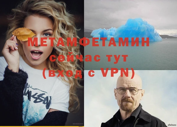шишки Новозыбков