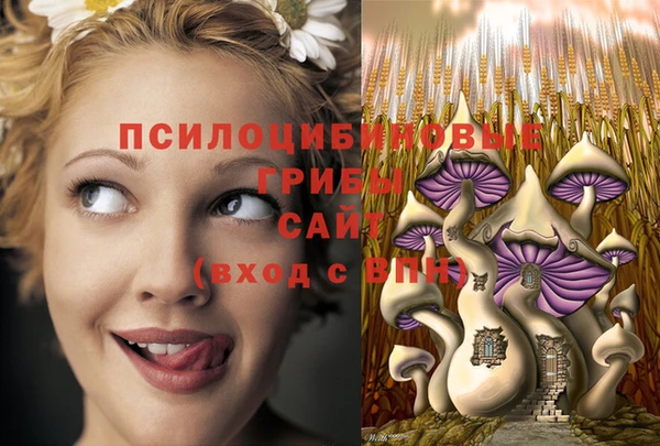 мефедрон Новодвинск