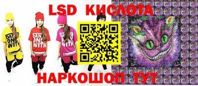 ПСИЛОЦИБИНОВЫЕ ГРИБЫ Новозыбков
