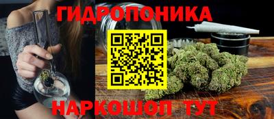 ПСИЛОЦИБИНОВЫЕ ГРИБЫ Новозыбков