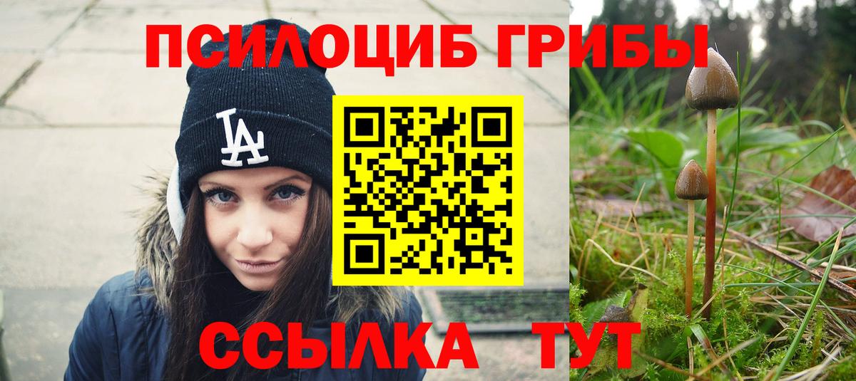 Галлюциногенные грибы ЛСД  Вход с VPN  Спасск-Дальний  Галлюциногенные грибы GOLDEN TEACHER 