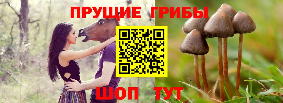 Псилоцибиновые грибы ЛСД Спасск-Дальний