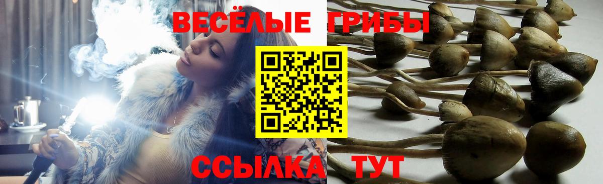 ГАШ  Вход с VPN  Спасск-Дальний  Мефедрон   Канабис  COCAIN 